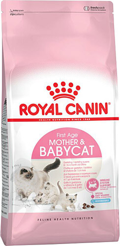 Royal Canin Mother Babycat Yavru Kuru Kedi Maması
